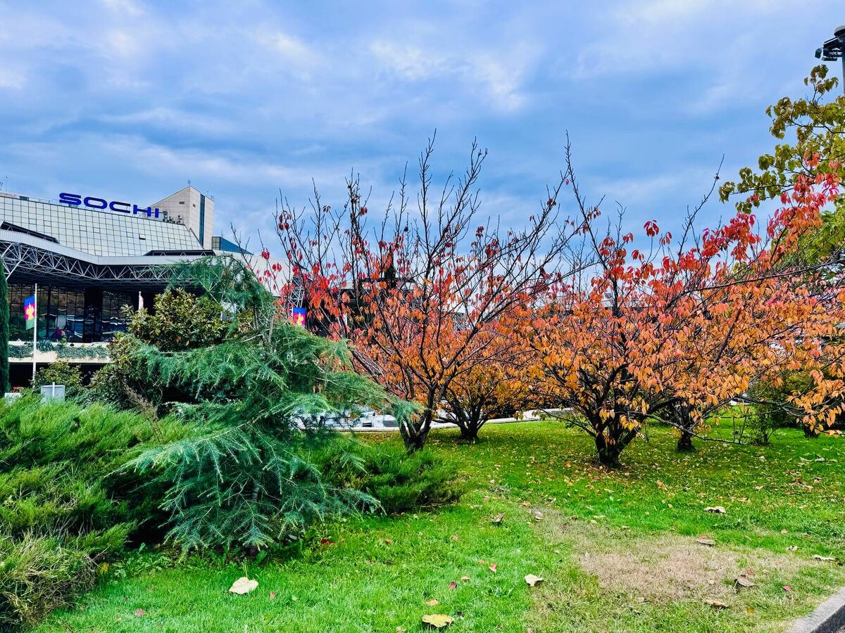    Фото: пресс-служба аэропорта Сочи