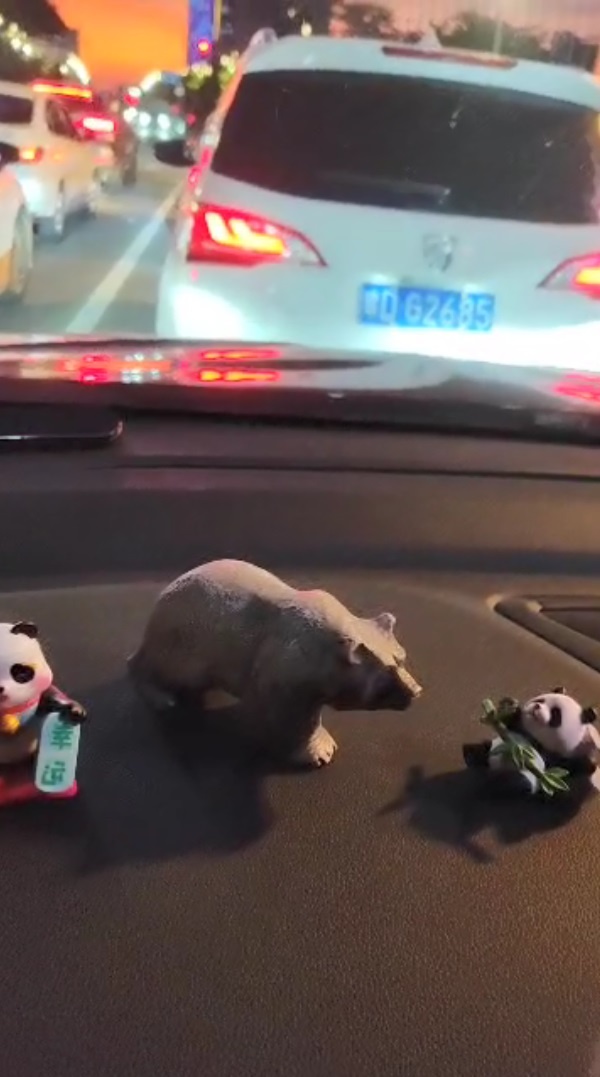 Сувенир из России у гида в машине, качество фото не очень, т.к. я не готовилась и не ожидала, что буду писать об этом)