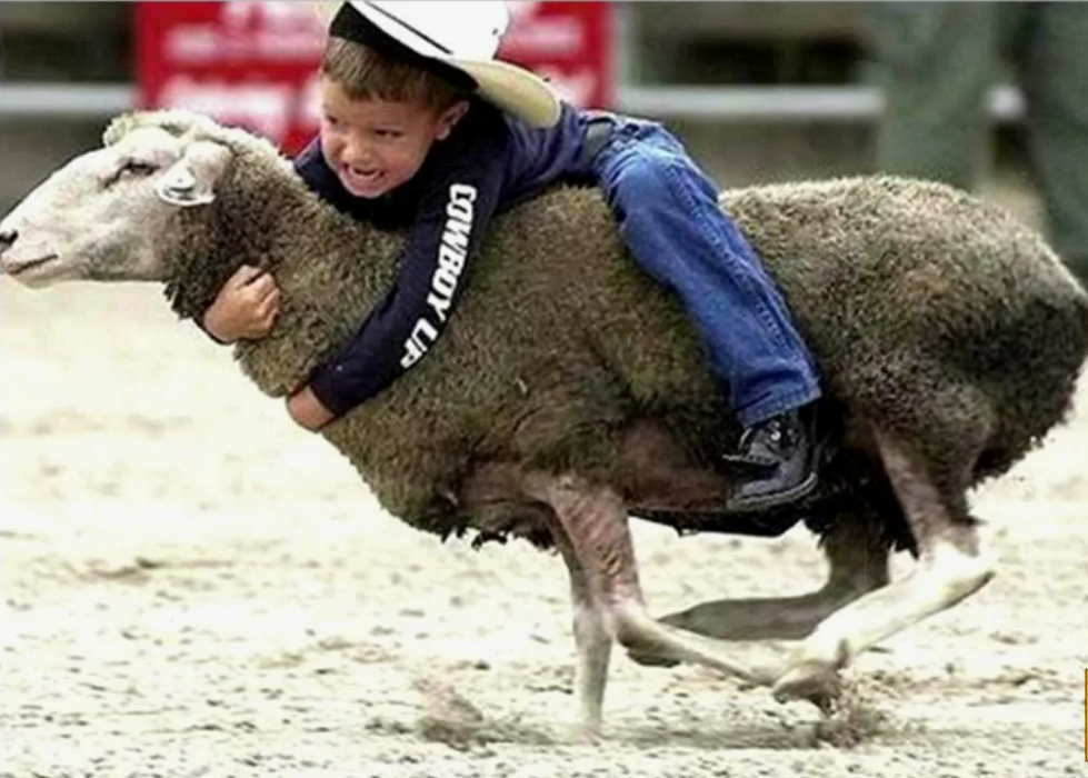 взято из открытых источников