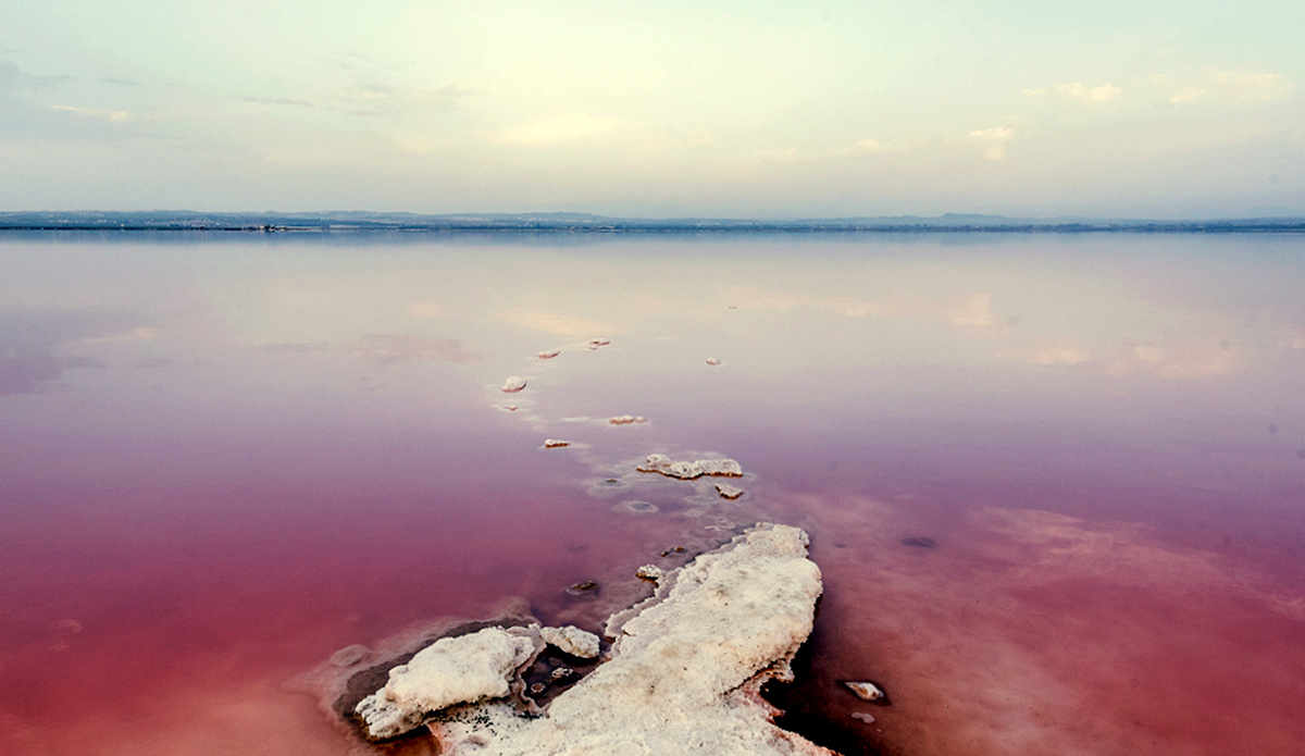 Из открытых источников. Большое Яшалтинское озеро.