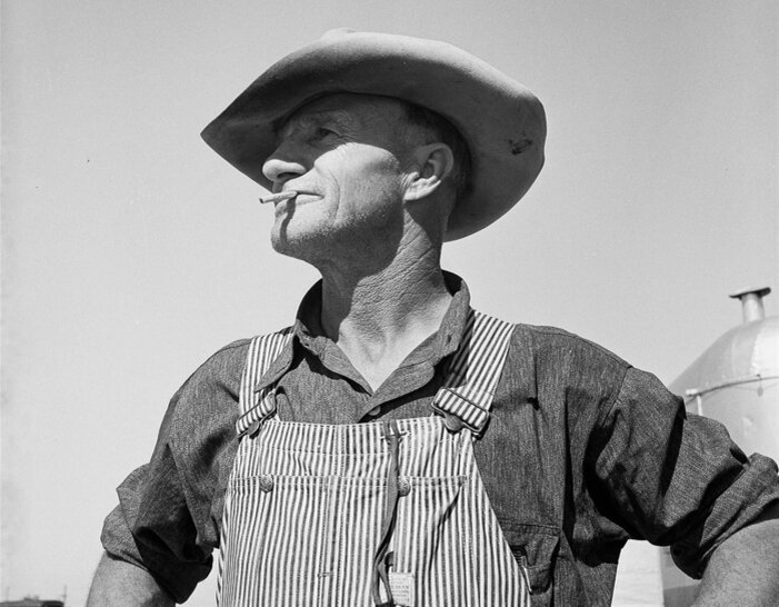 В Америке государство платит фермерам за уменьшение посевных площадей. Вроде тоже ни за что. Но там это делается из-за перепроизводства продуктов питания / Фото: pxhere.com