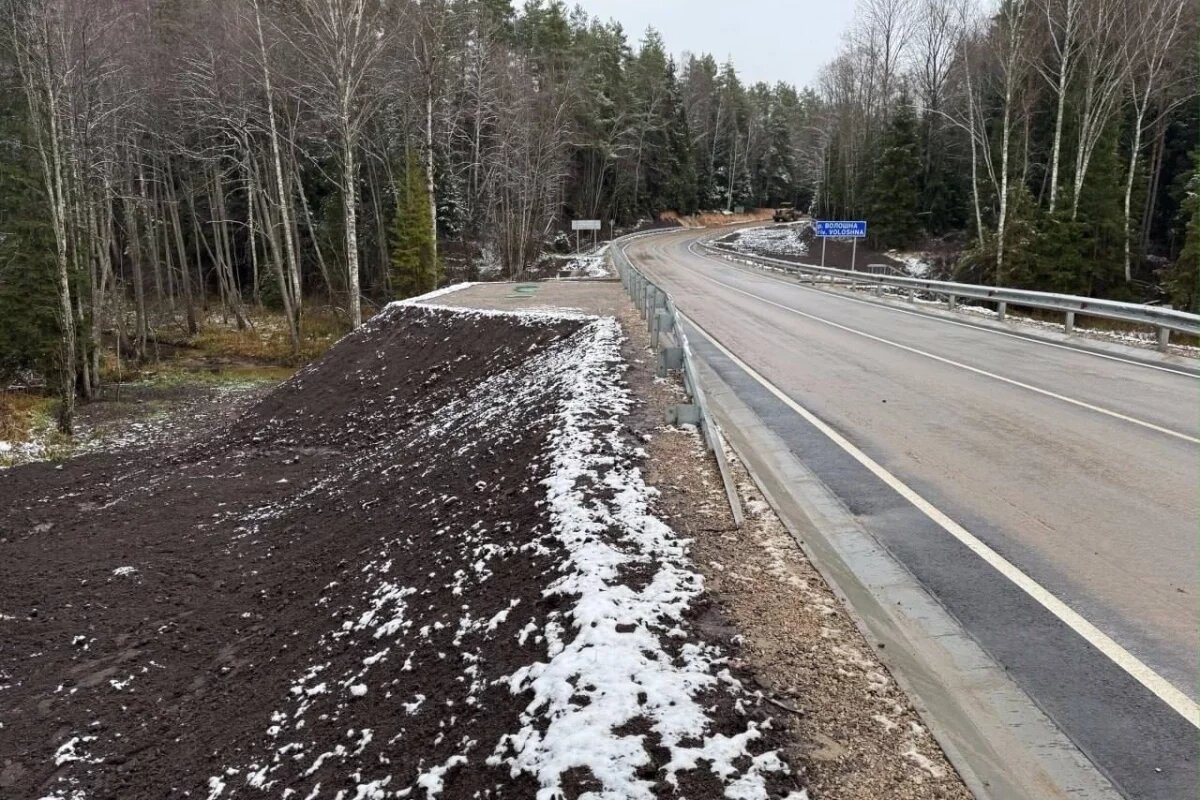    В Опочецком районе для транспорта открыли мост через реку Волошна