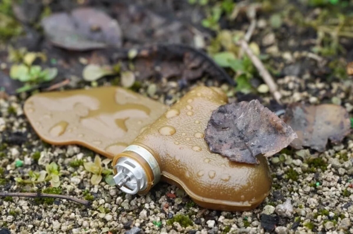    Суконкин: ВСУ давно используют американские противопехотные мины