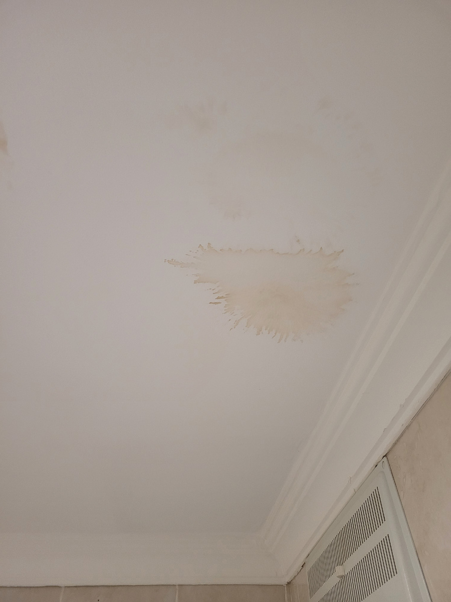 Освящение не включила, извините, так то пятно пошикарнее, поярче.Фото автора. 