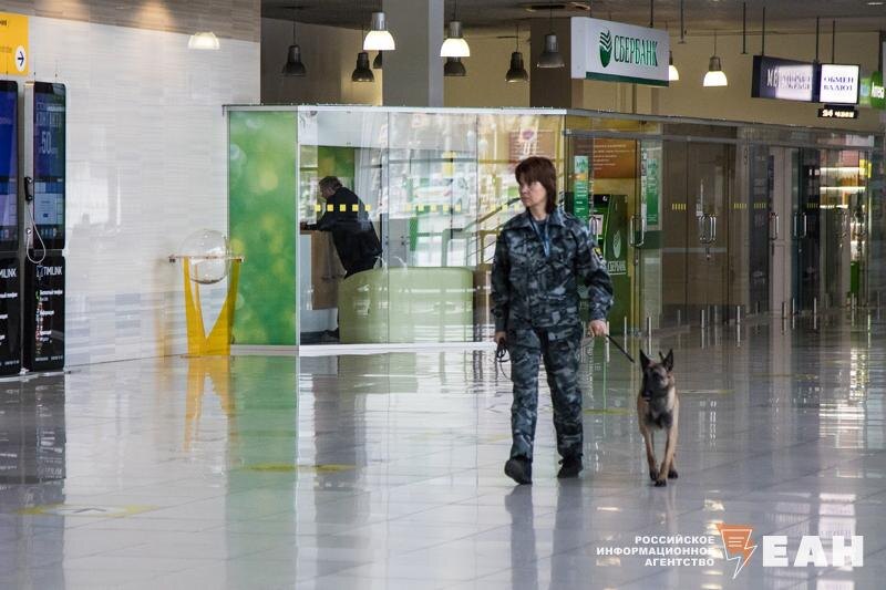    Она заявила, что везла 30 сумок, чтобы продать в магазине своего мужа