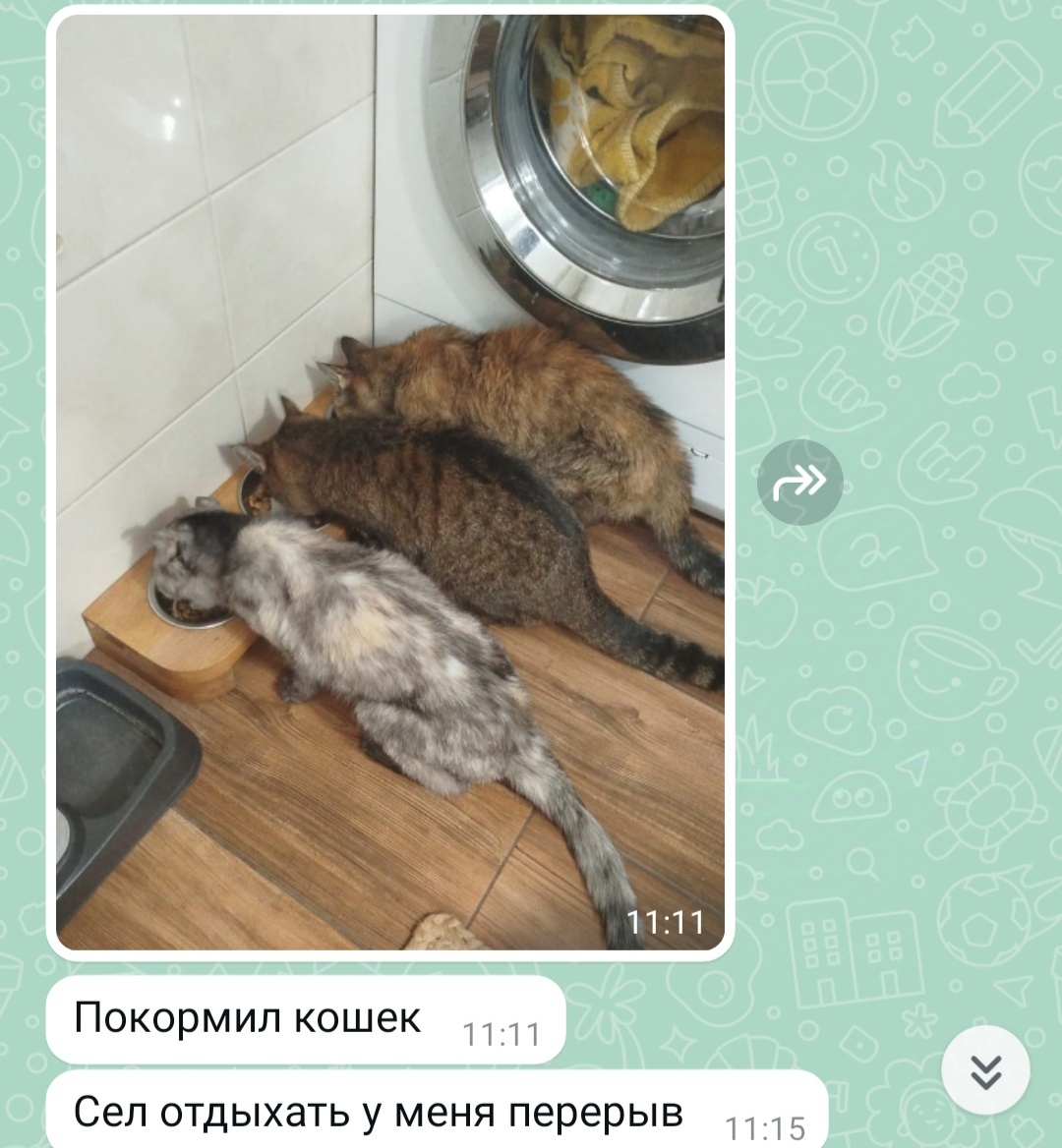 "Вдруг в@йна, а мы устали"... Отдых - святое дело! 