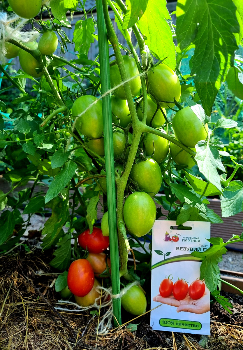 Фото автора.