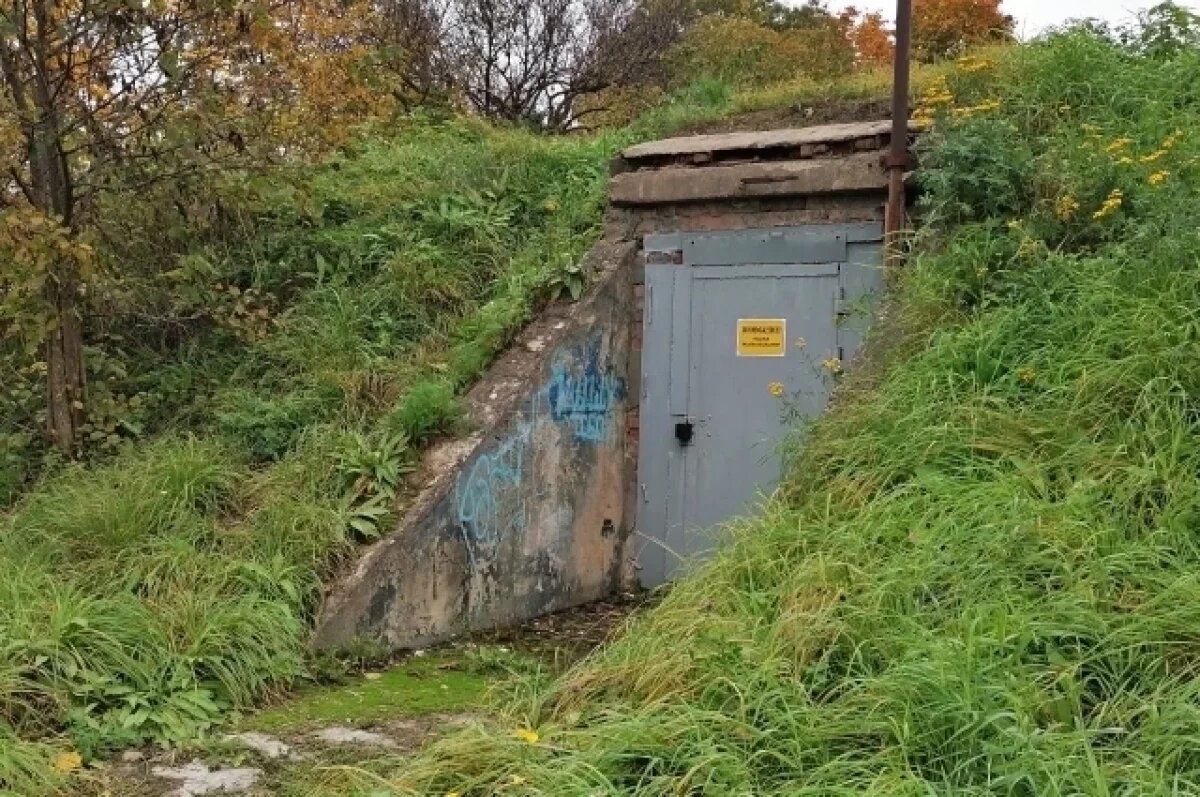    Жителям Ленобласти предоставят убежища на случай чрезвычайной ситуации