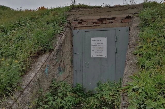    Фото: АиФ-Петербург/ Сергей Хорошавин