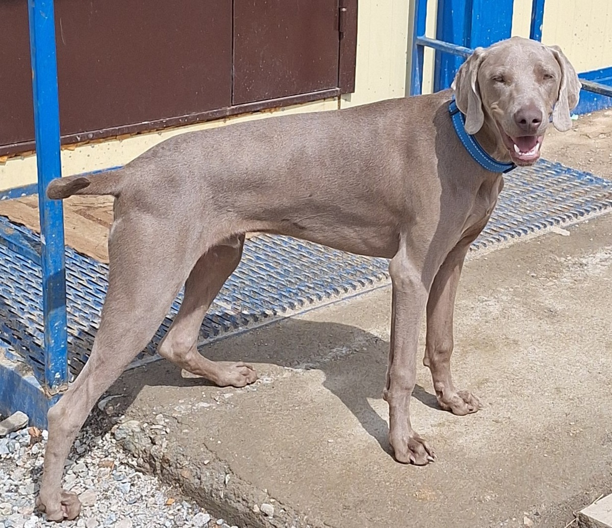 Наш мальчик