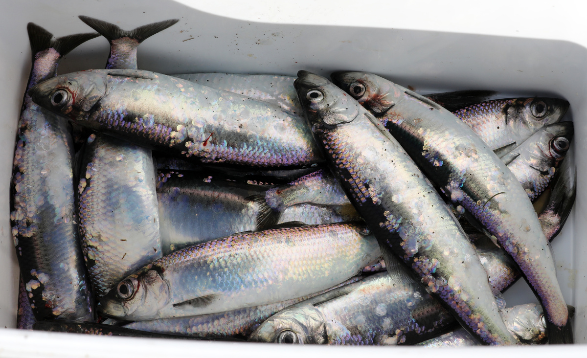 Фото: © Bernd Wüstneck/ dpa/ Global Look Press