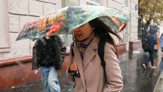    В Москве из-за сильного ветра объявлен "желтый" уровень погодной опасности Алина Городниченко