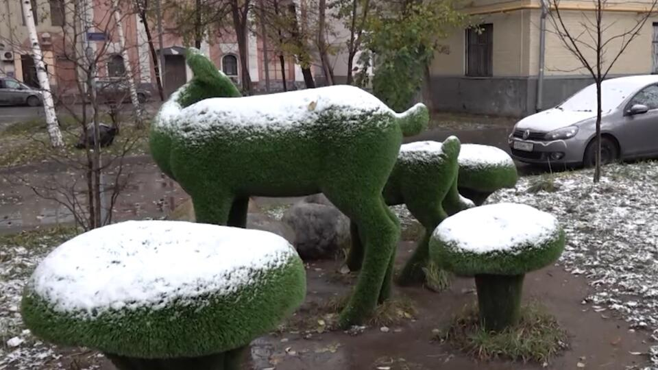 Фото: РЕН ТВ