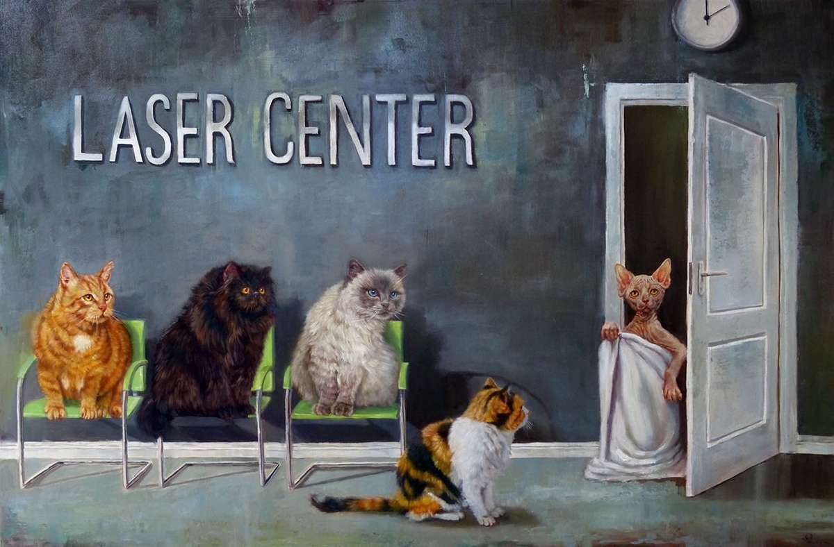 Из свободных источников сети Интернет "Лазерный центр" художник Люсия Хефферман