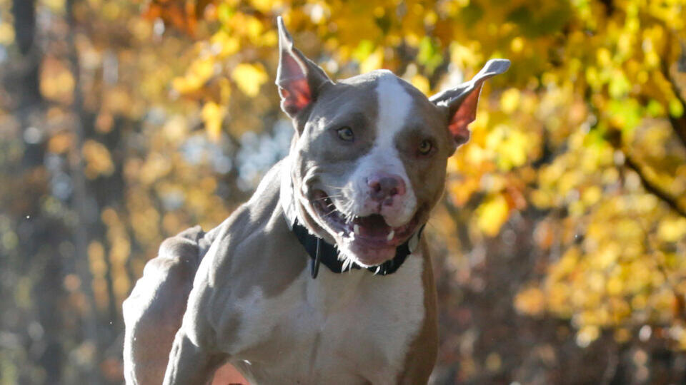 Фото: © TASS/AP (из архива)