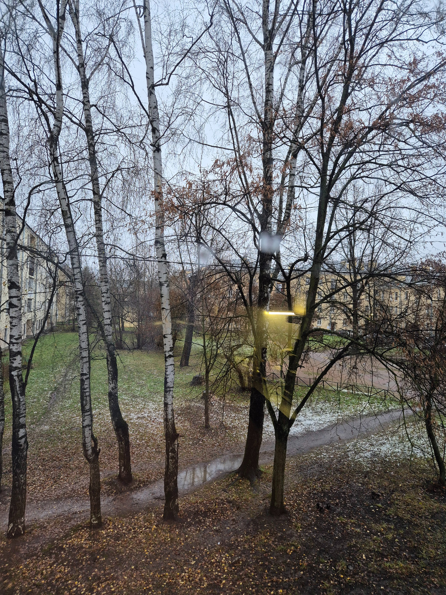 конец ноября в Петербурге