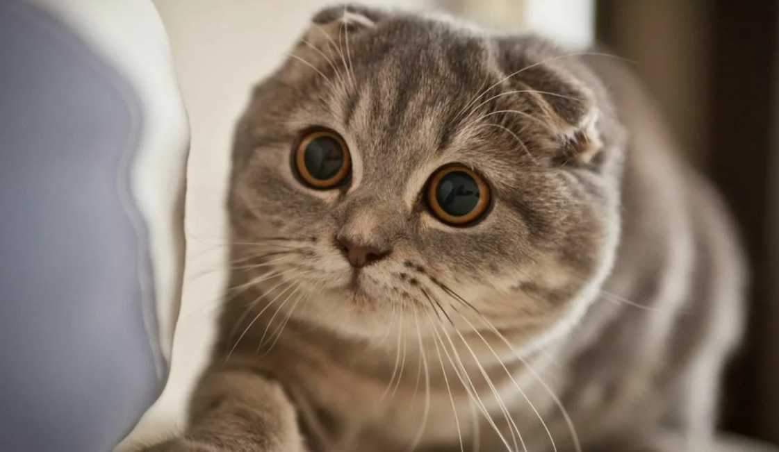 просто фото