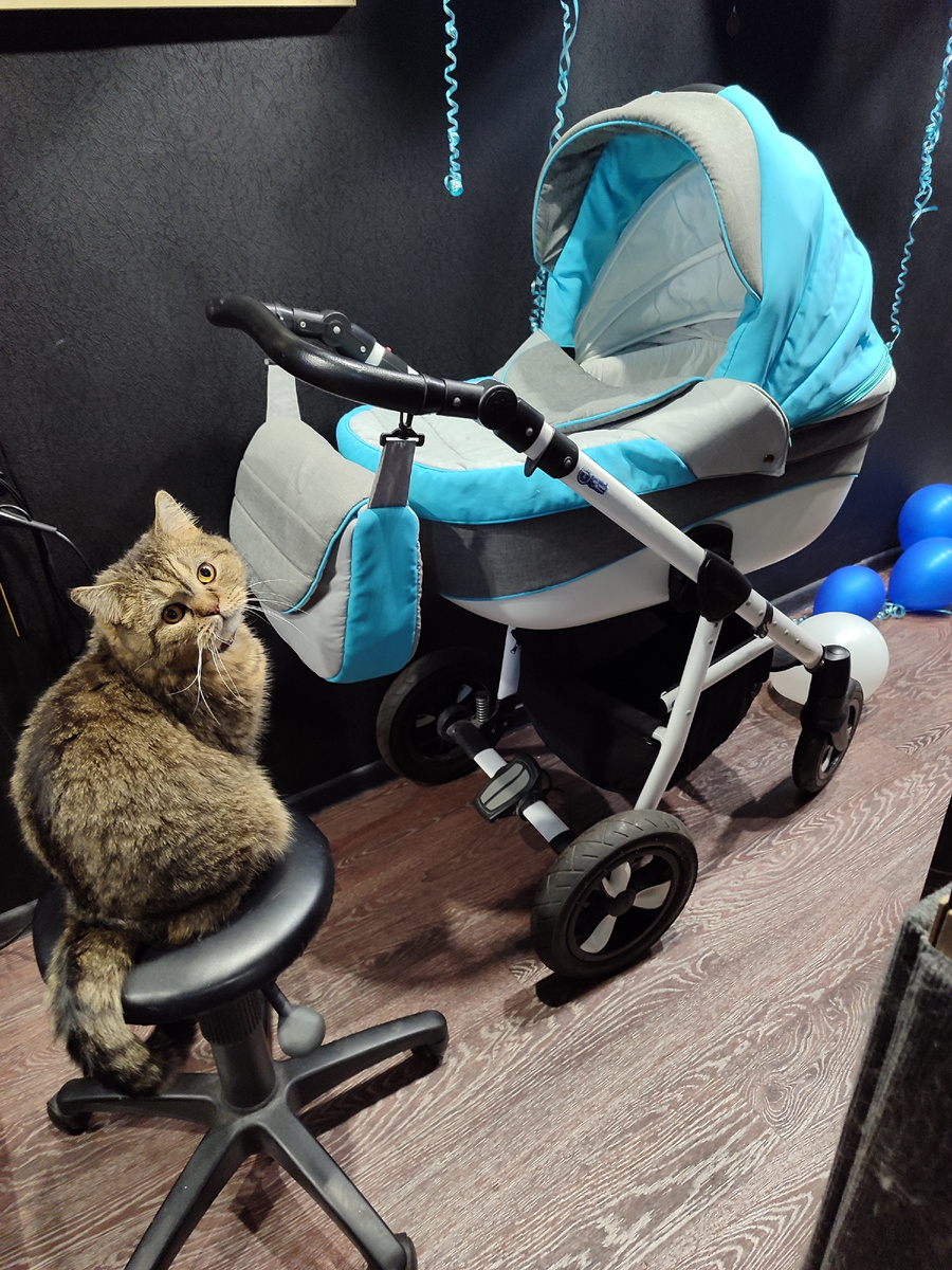 коляска 3 в 1