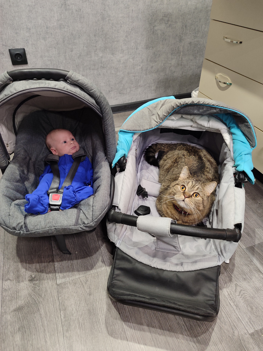 Зато коту понравилось➡➡➡листайте дальше