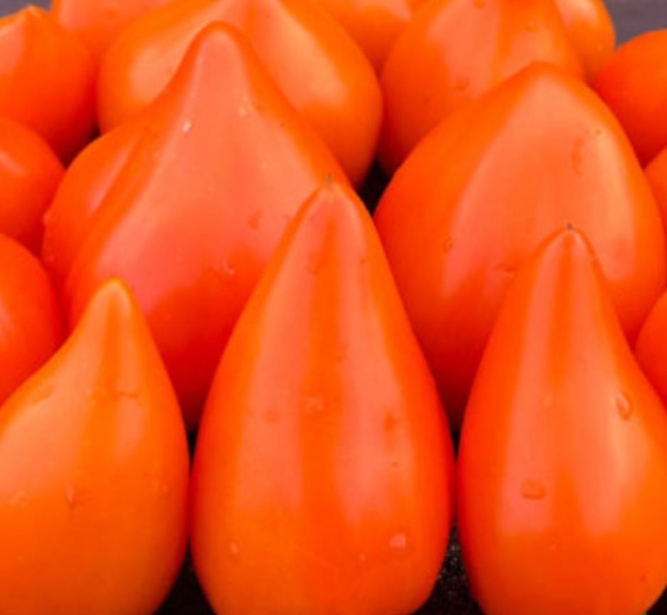 "Заилийский Алатау желто-оранжевый"