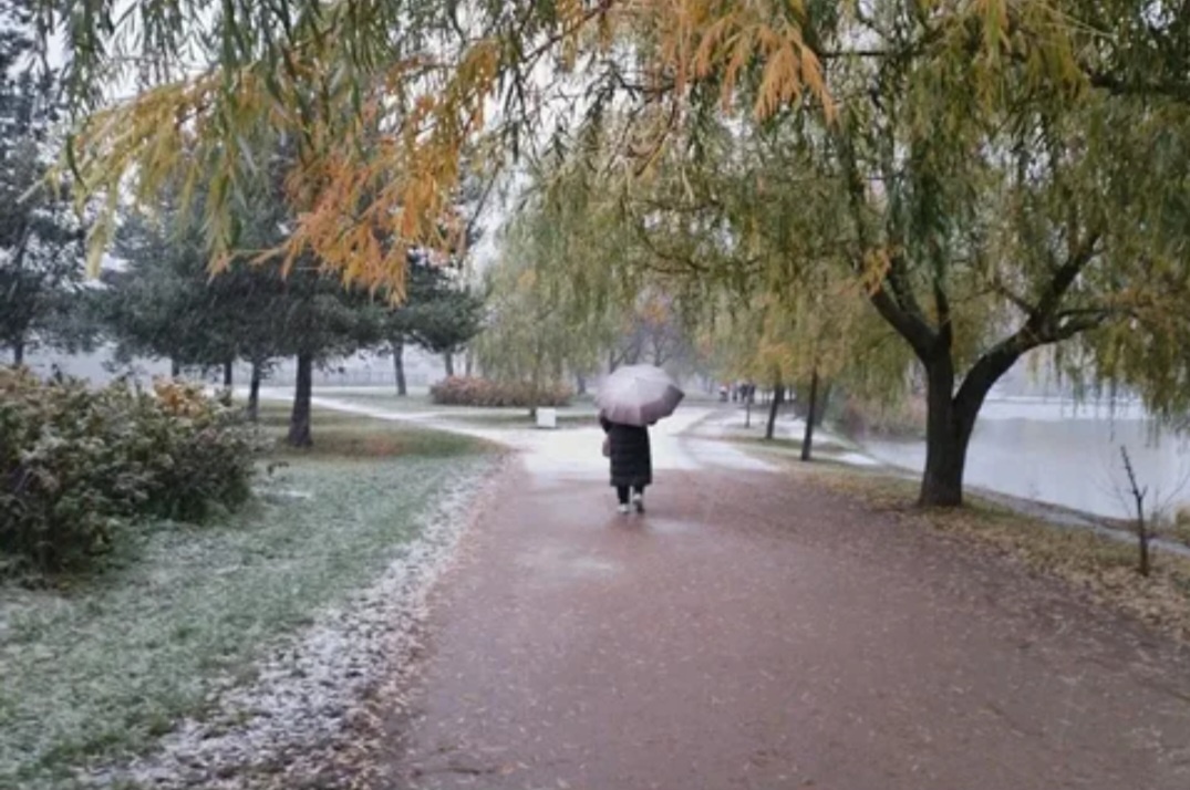 Снегодождь,  взято из интернета с целью ознакомления. 