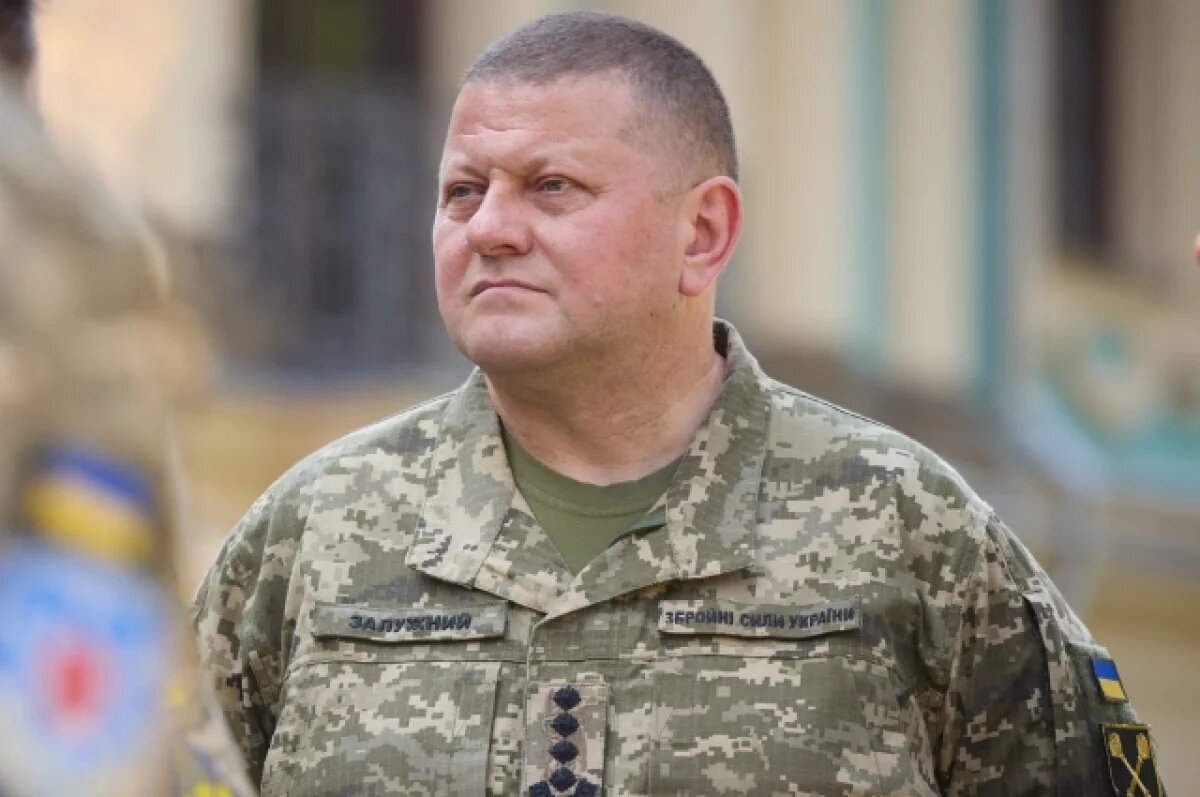    Появление Залужного перед ВСУ связали с заявкой на пост президента Украины