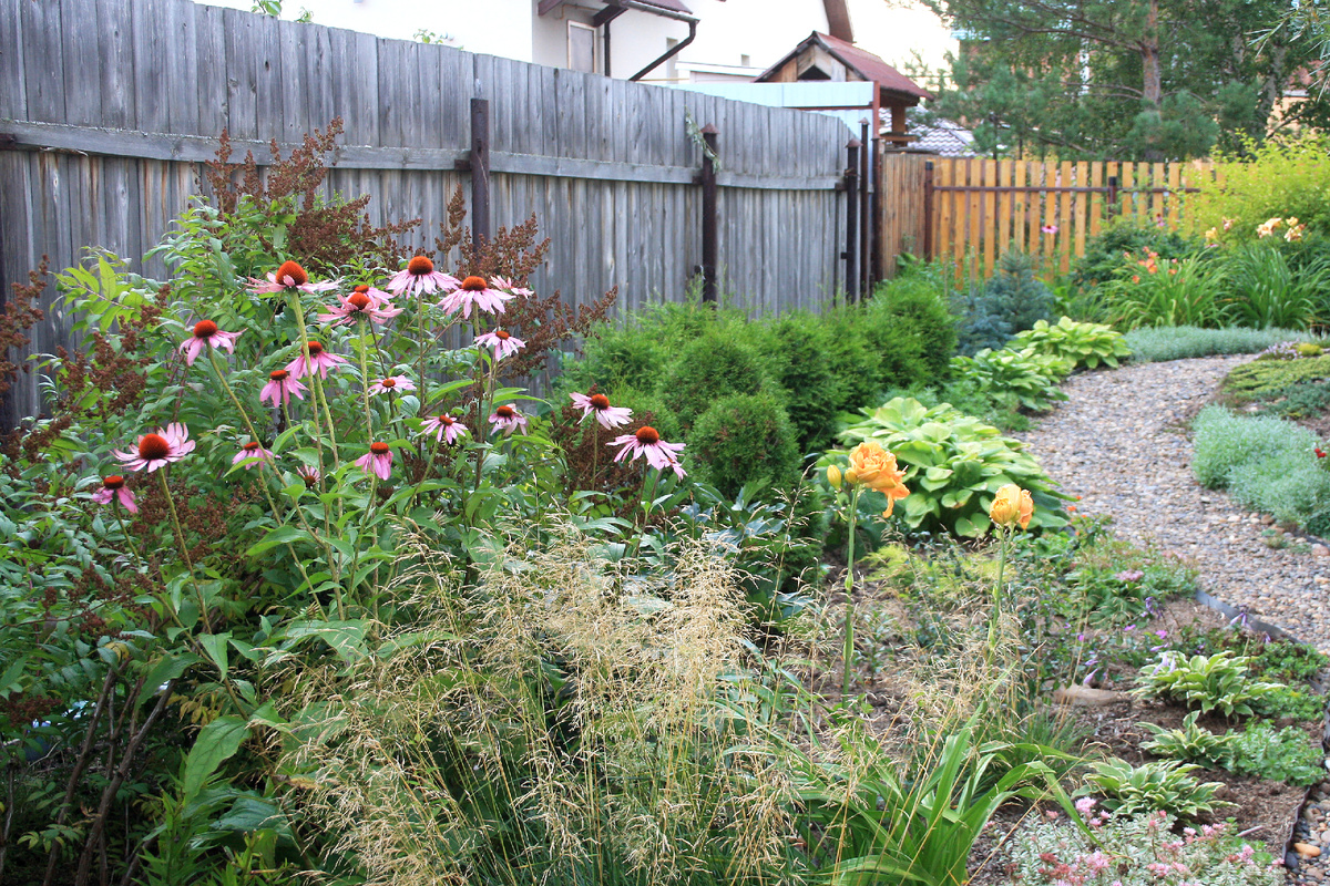 покупная щучка