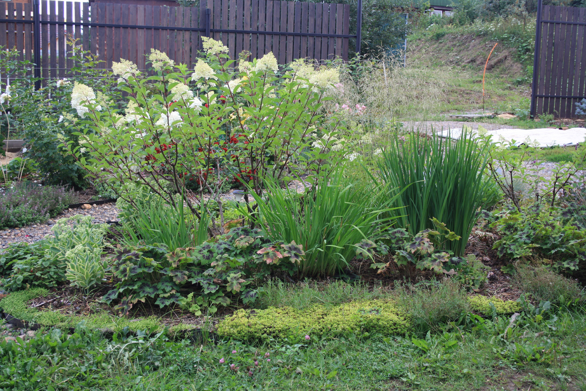 он же с другой стороны в том же году