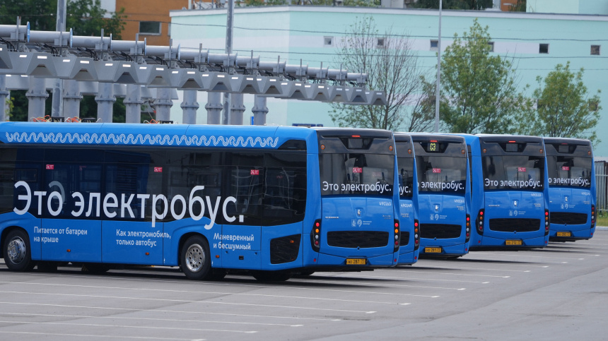    Фото: ИЗВЕСТИЯ/Дмитрий Коротаев; 5-tv.ru