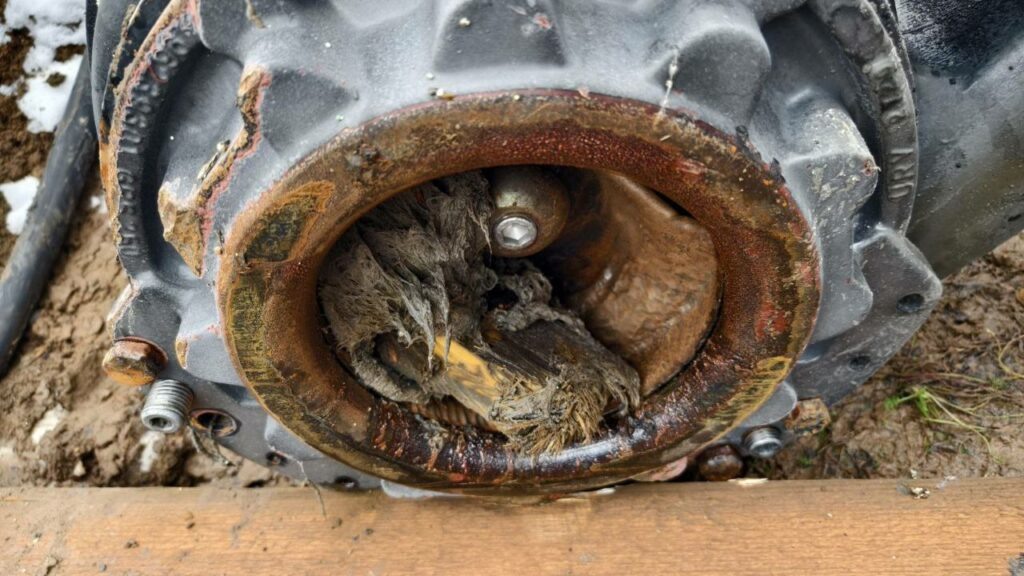    Фото: Новогор-Прикамье Алена Калашникова