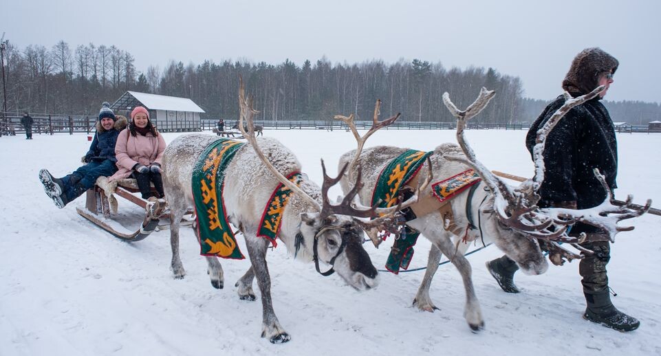     Медиасток.рф