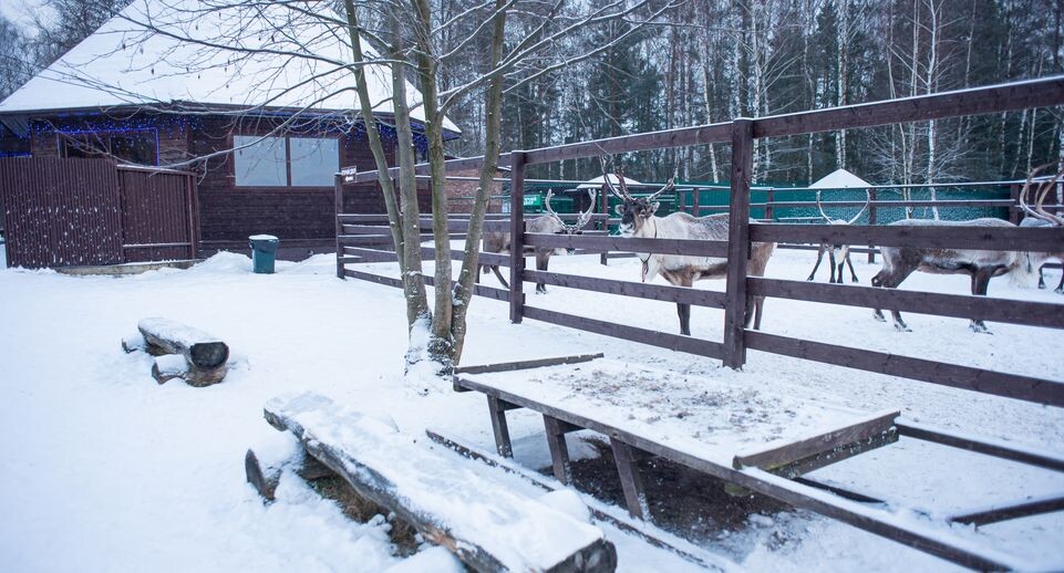     Медиасток.рф