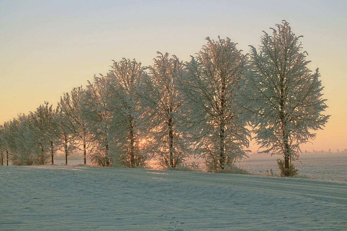 Фото с сайта pixabay
