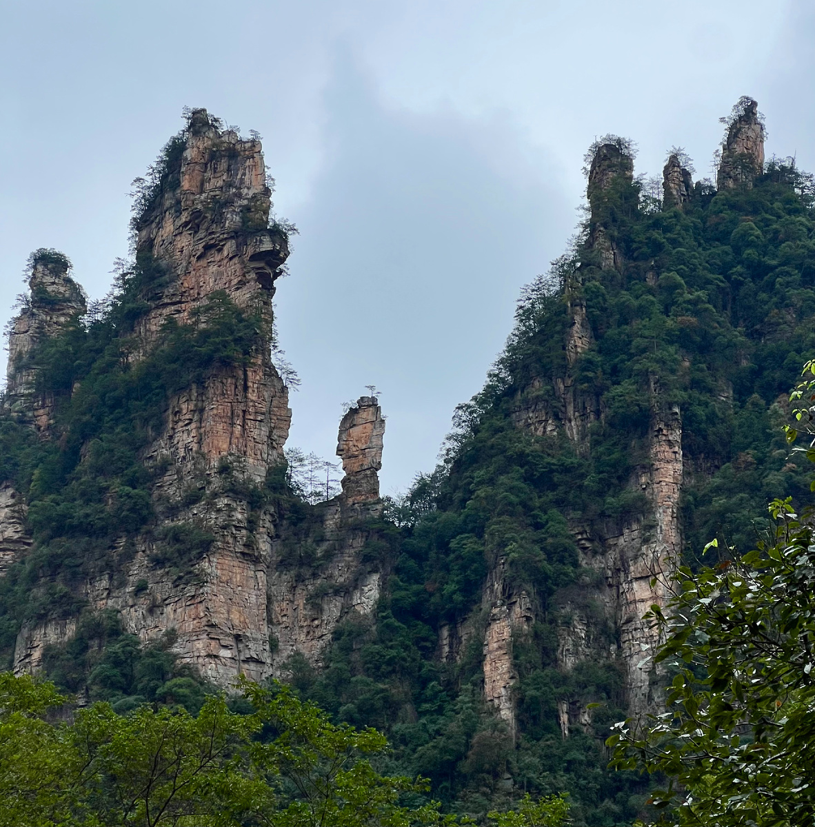 Национальный парк Чжанцзяцзе