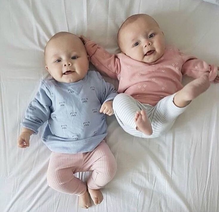 Фото из интернета. Двойня.