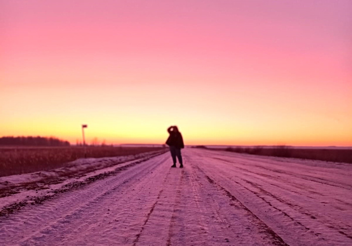 Пурпурное сияние в Усть-Таркском районе Новосибирской области / Фото: epigraph.info