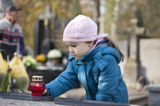 фото из открытого источника Яндекс картинки