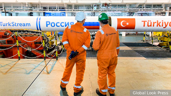     Фото: Global Look Press   
 Текст: Ольга Иванова