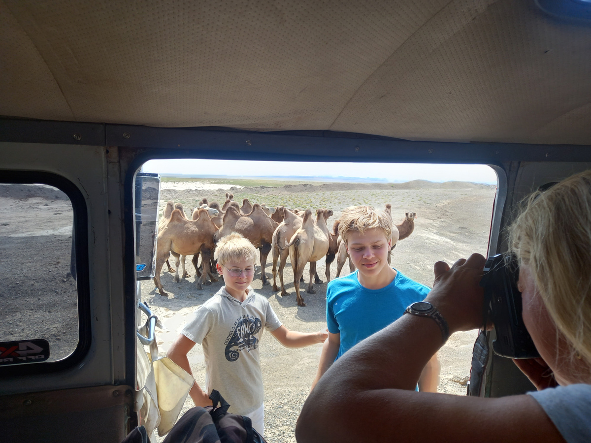 москвичи 2022 год