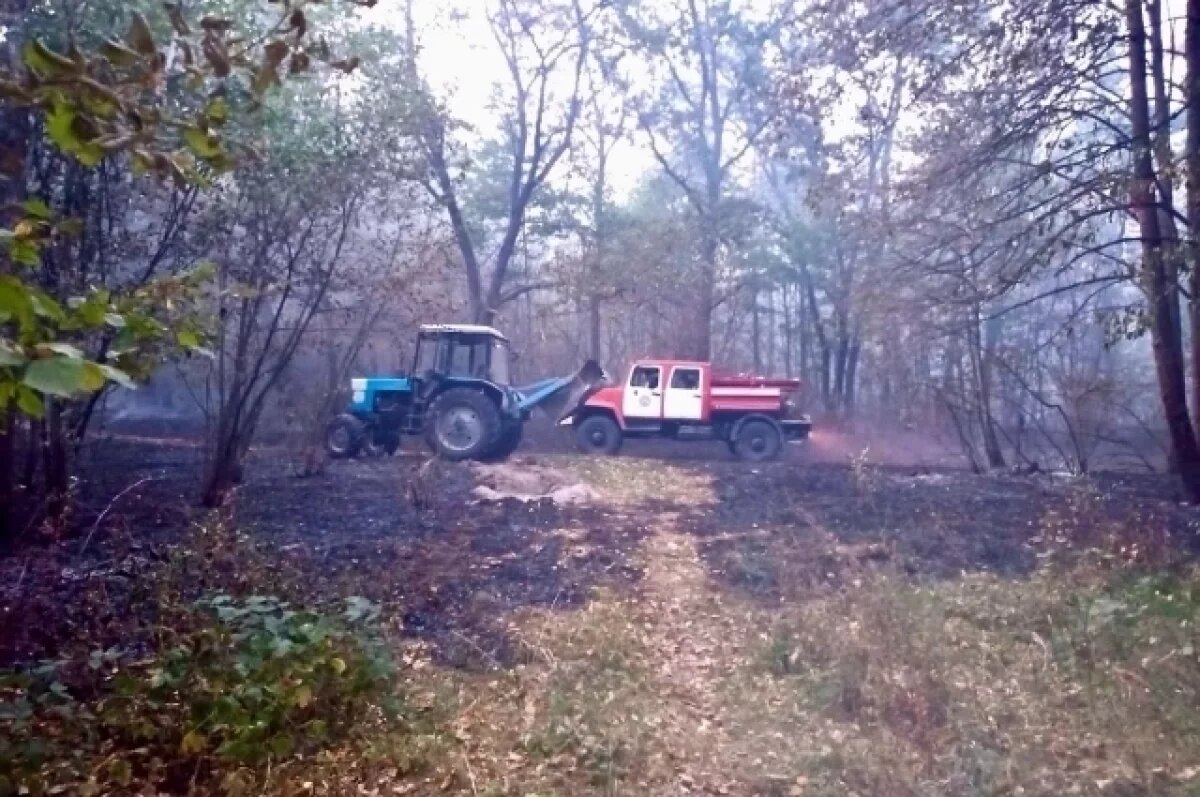    Двадцать один лесной пожар ликвидировали на Брянщине с начала 2024 года