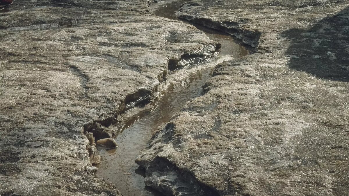     Источник: 1MI