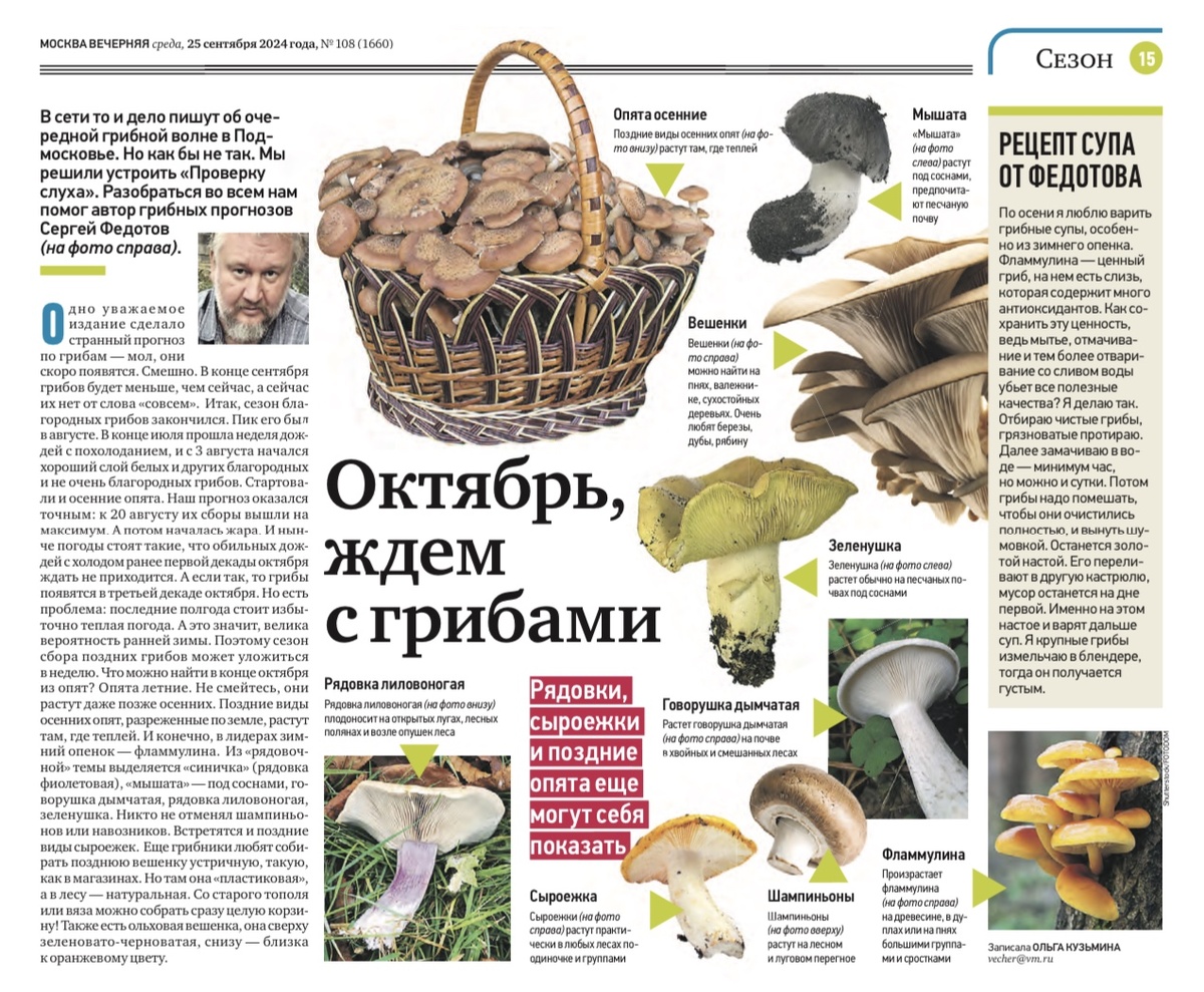 «Вечерняя Москва», скрин 25.09.2024