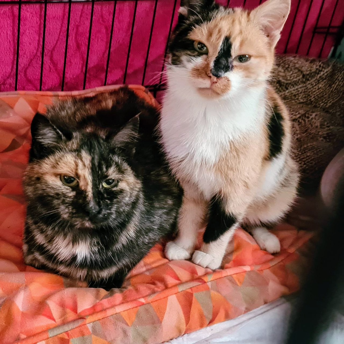 Белорусские женщины Муза и Грушенька