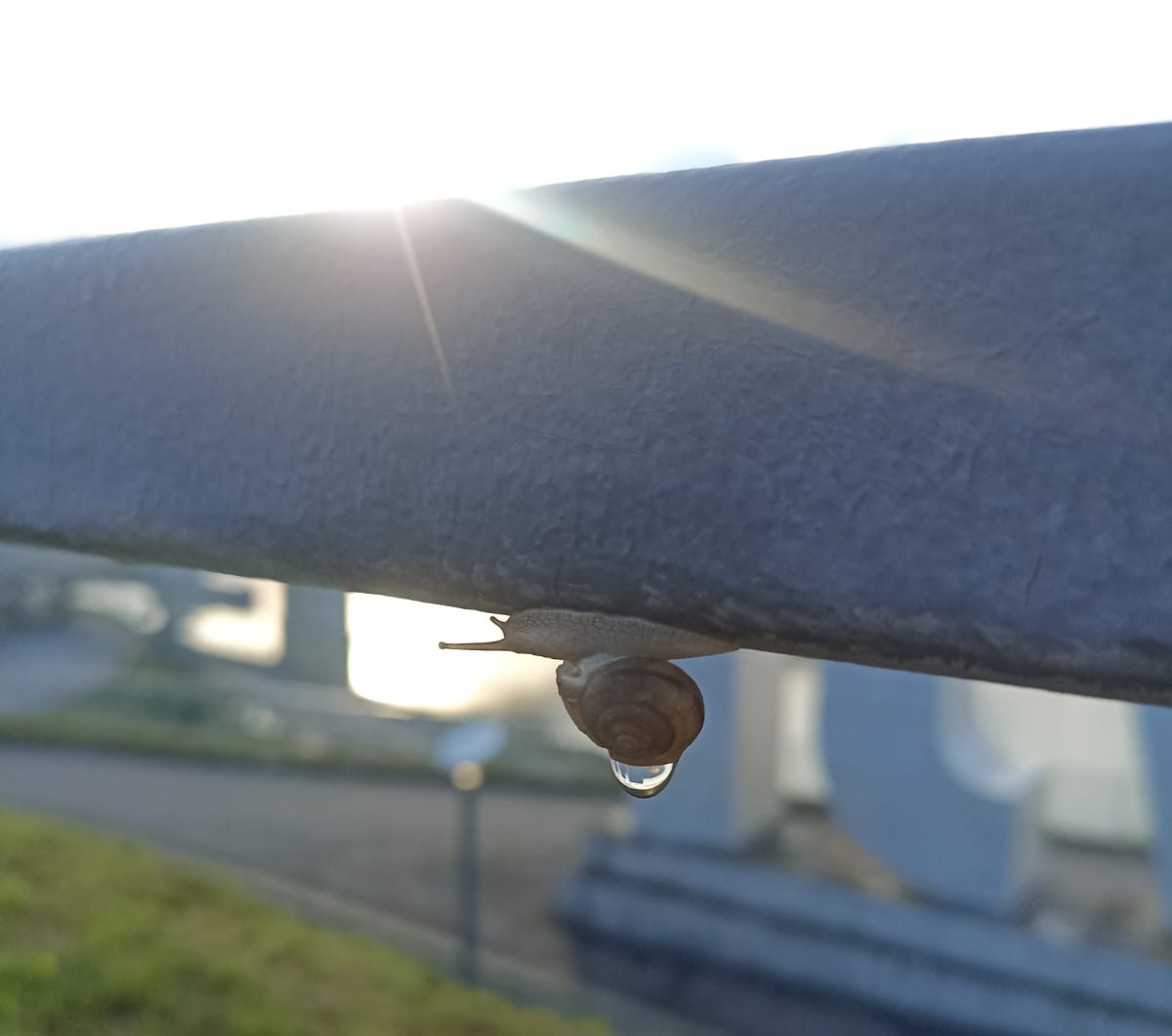 Это я, прячусь от вопросов про репетиторство. 