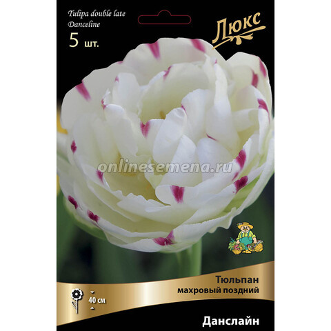 Упаковка Поиска, версия Люкс