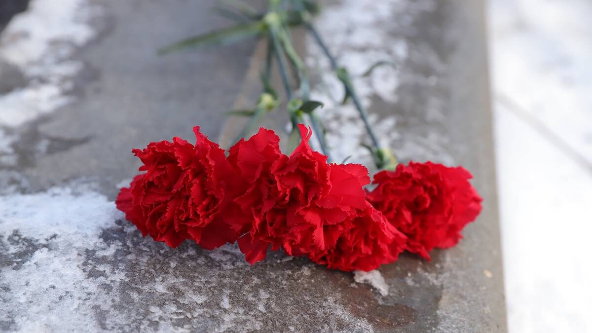    Фото: Анатолий Цымбалюк / Вечерняя Москва