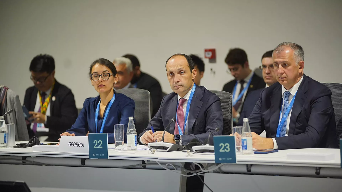 © Ministry of Economy and Sustainable Development of Georgia