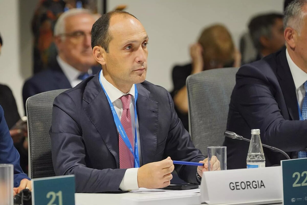 © Ministry of Economy and Sustainable Development of Georgia