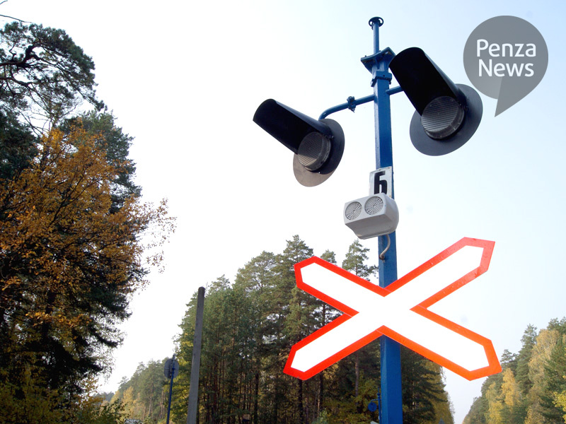    © Фото из архива ИА «PenzaNews»
