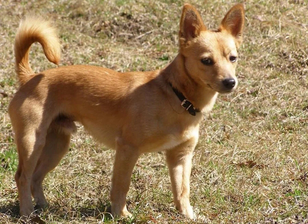 Картинка из открытых источников интернета